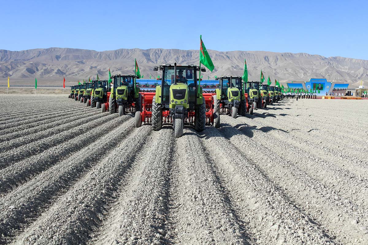Winter wheat sowing has begun in Turkmenistan